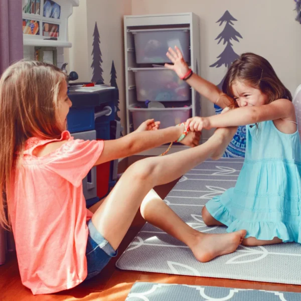 two sisters fighting